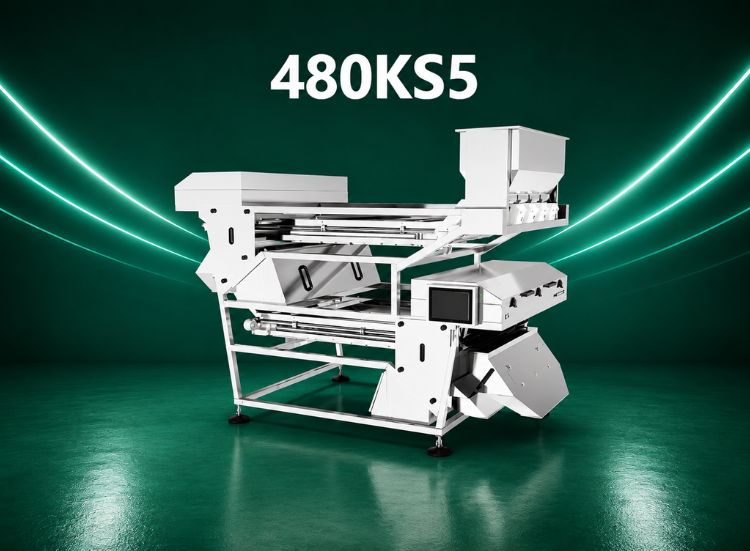 KMS THINKER DI UHD AI 480_KS