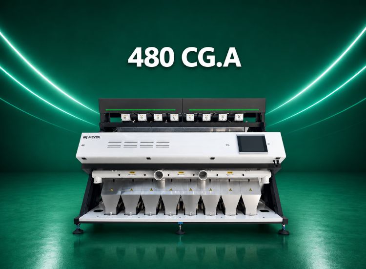 480 CG. A