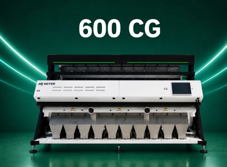 600 Model