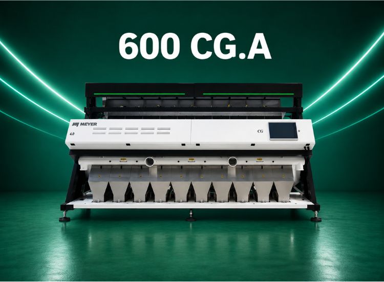 600 CG. A