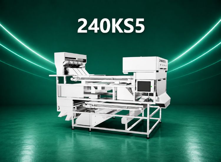 MEYER KS Thinker Standard DI AI