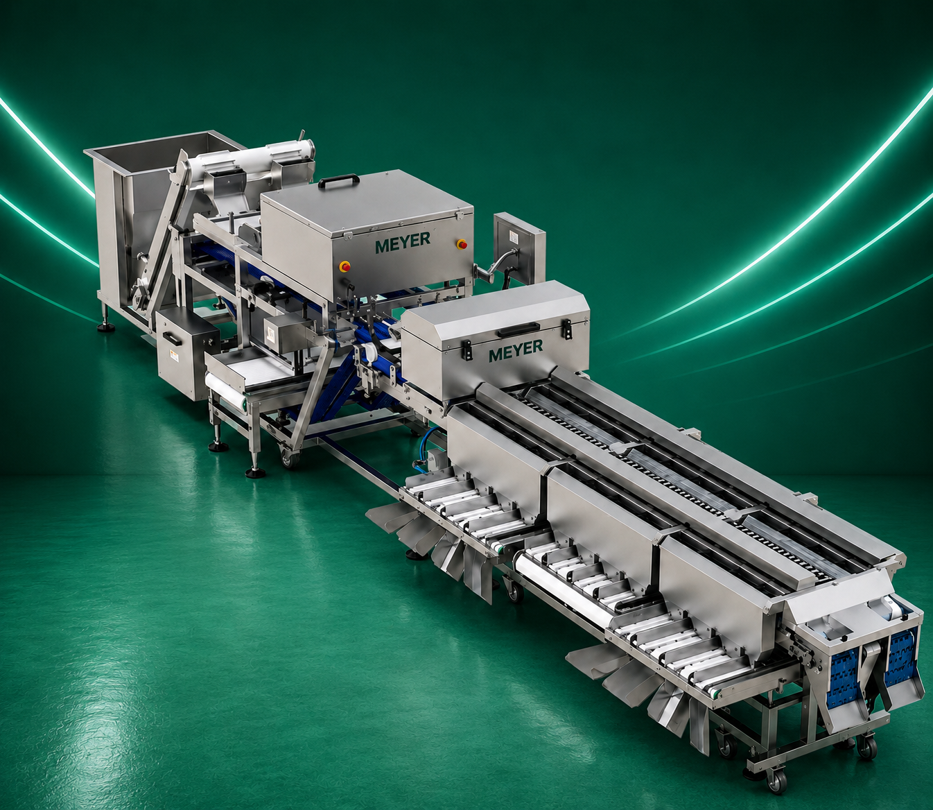 MEYER KD UHD AI Smart Belt Color Sorter with Small Target & Wormhole Detection
