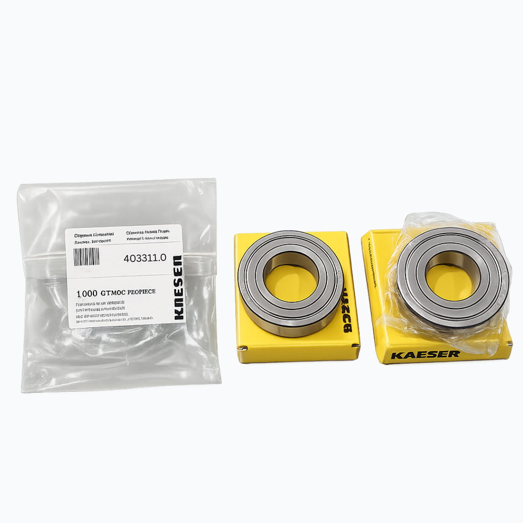 Motor Bearings