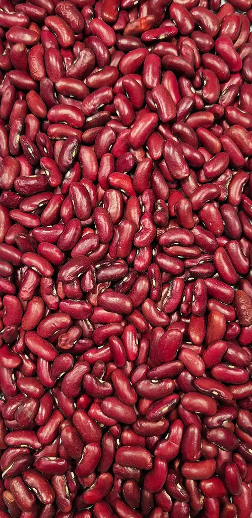 Beans Accept