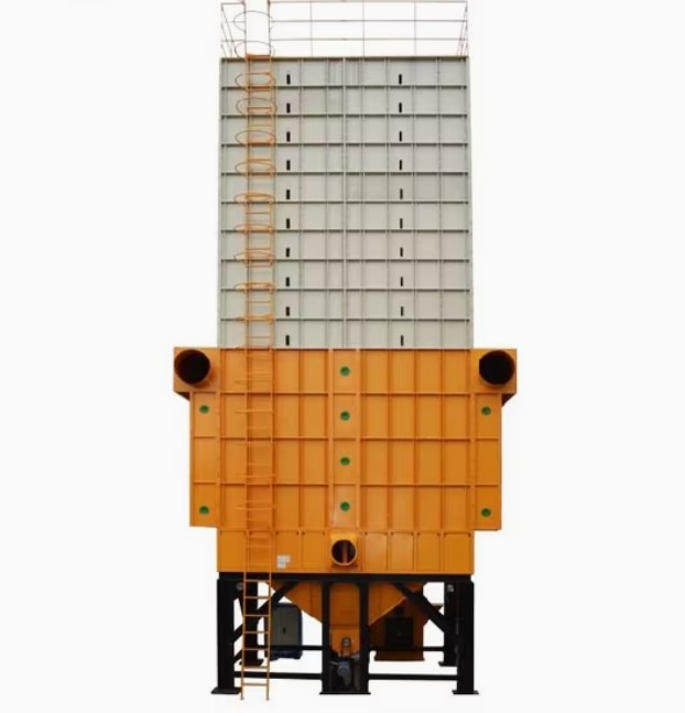 50T